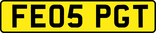 FE05PGT