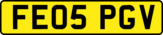 FE05PGV