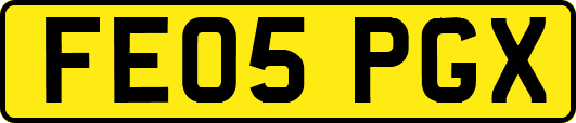 FE05PGX