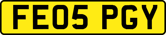 FE05PGY