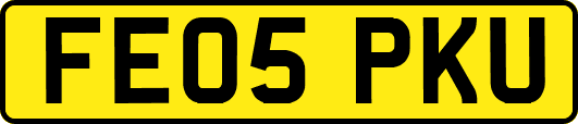 FE05PKU