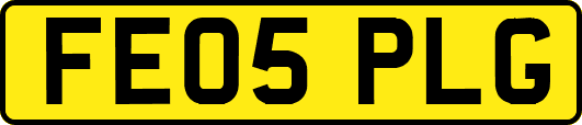 FE05PLG