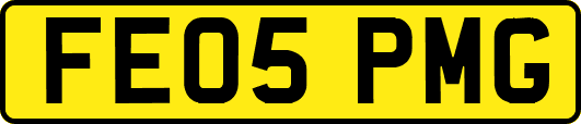 FE05PMG
