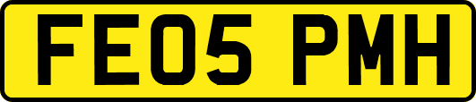 FE05PMH