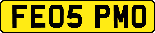 FE05PMO