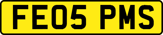 FE05PMS