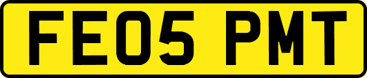 FE05PMT