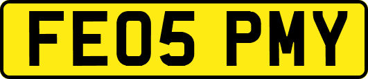 FE05PMY