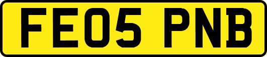 FE05PNB