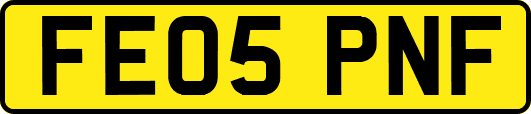 FE05PNF