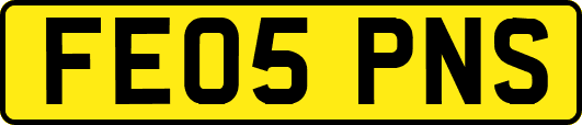FE05PNS