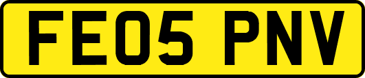 FE05PNV