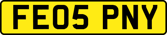 FE05PNY
