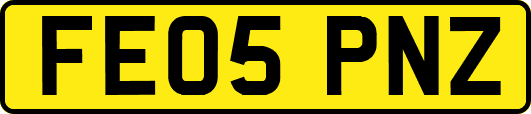 FE05PNZ