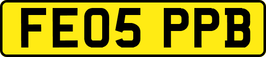 FE05PPB