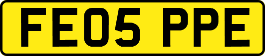 FE05PPE