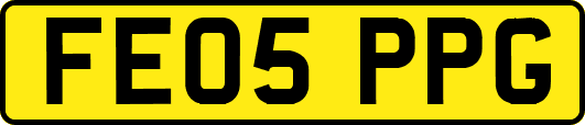 FE05PPG