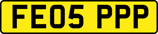 FE05PPP