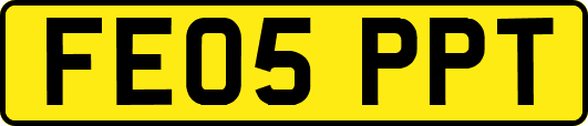 FE05PPT