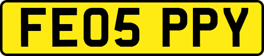 FE05PPY