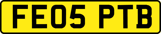 FE05PTB
