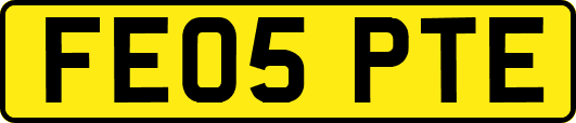 FE05PTE