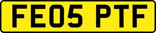 FE05PTF