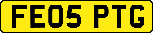 FE05PTG