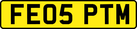 FE05PTM