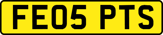 FE05PTS