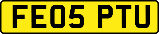 FE05PTU