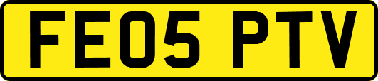 FE05PTV