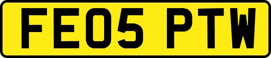 FE05PTW