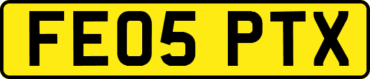 FE05PTX