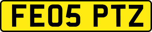 FE05PTZ