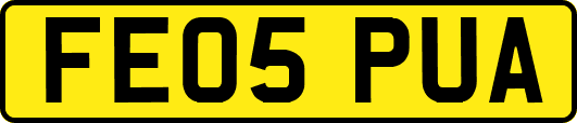 FE05PUA