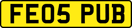 FE05PUB