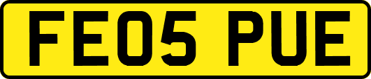 FE05PUE