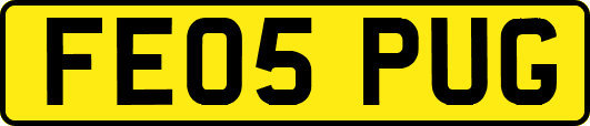 FE05PUG