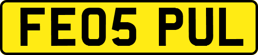 FE05PUL