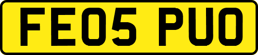 FE05PUO
