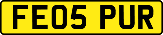 FE05PUR