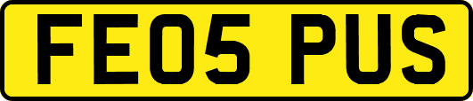 FE05PUS
