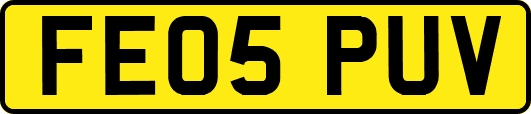 FE05PUV