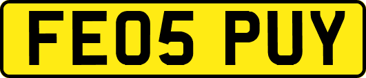 FE05PUY