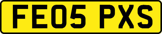 FE05PXS