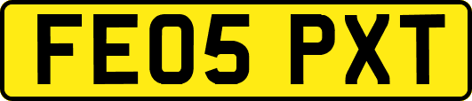 FE05PXT