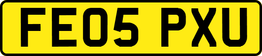 FE05PXU