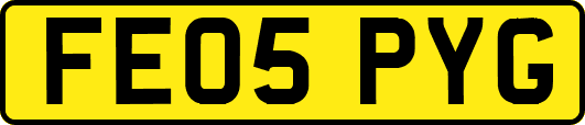 FE05PYG