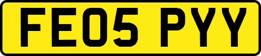 FE05PYY